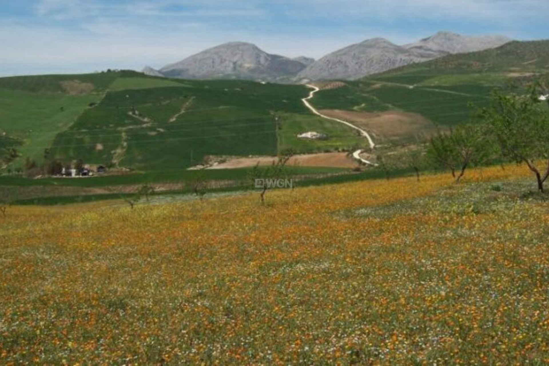 Wiederverkauf - Villa - Valle de Abdalajis - Inland