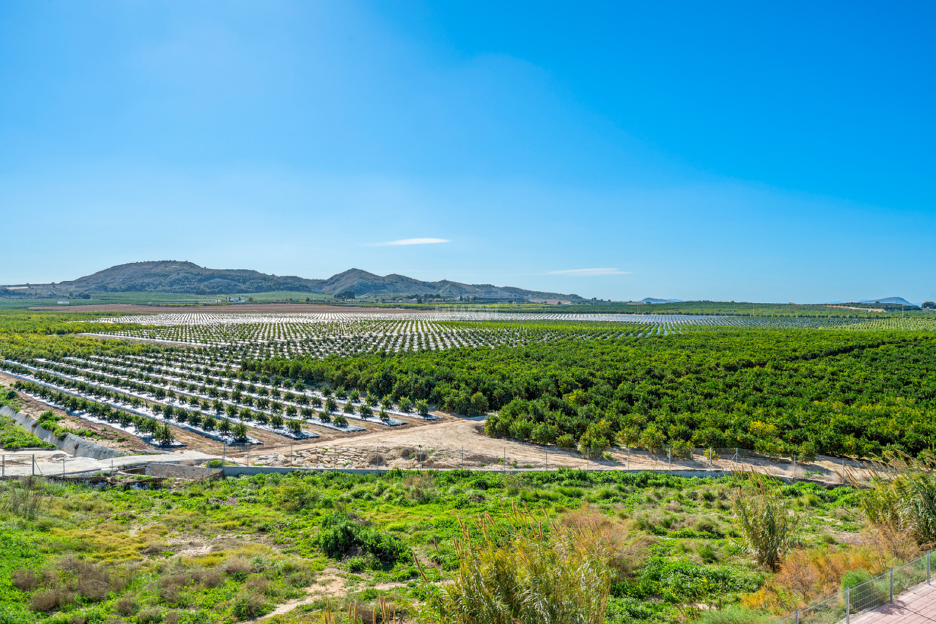Wiederverkauf - Wohnung - Algorfa - Inland
