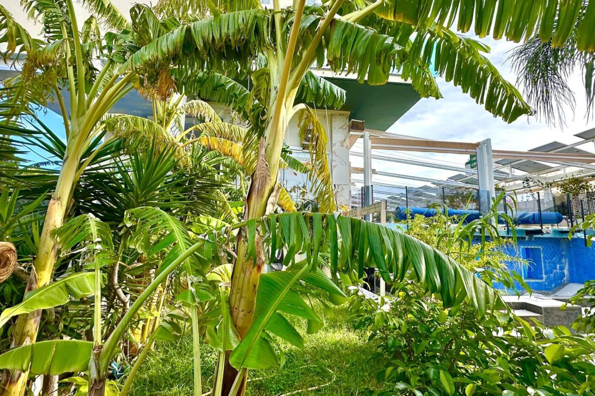 Wiederverkauf - Wohnung - Finestrat