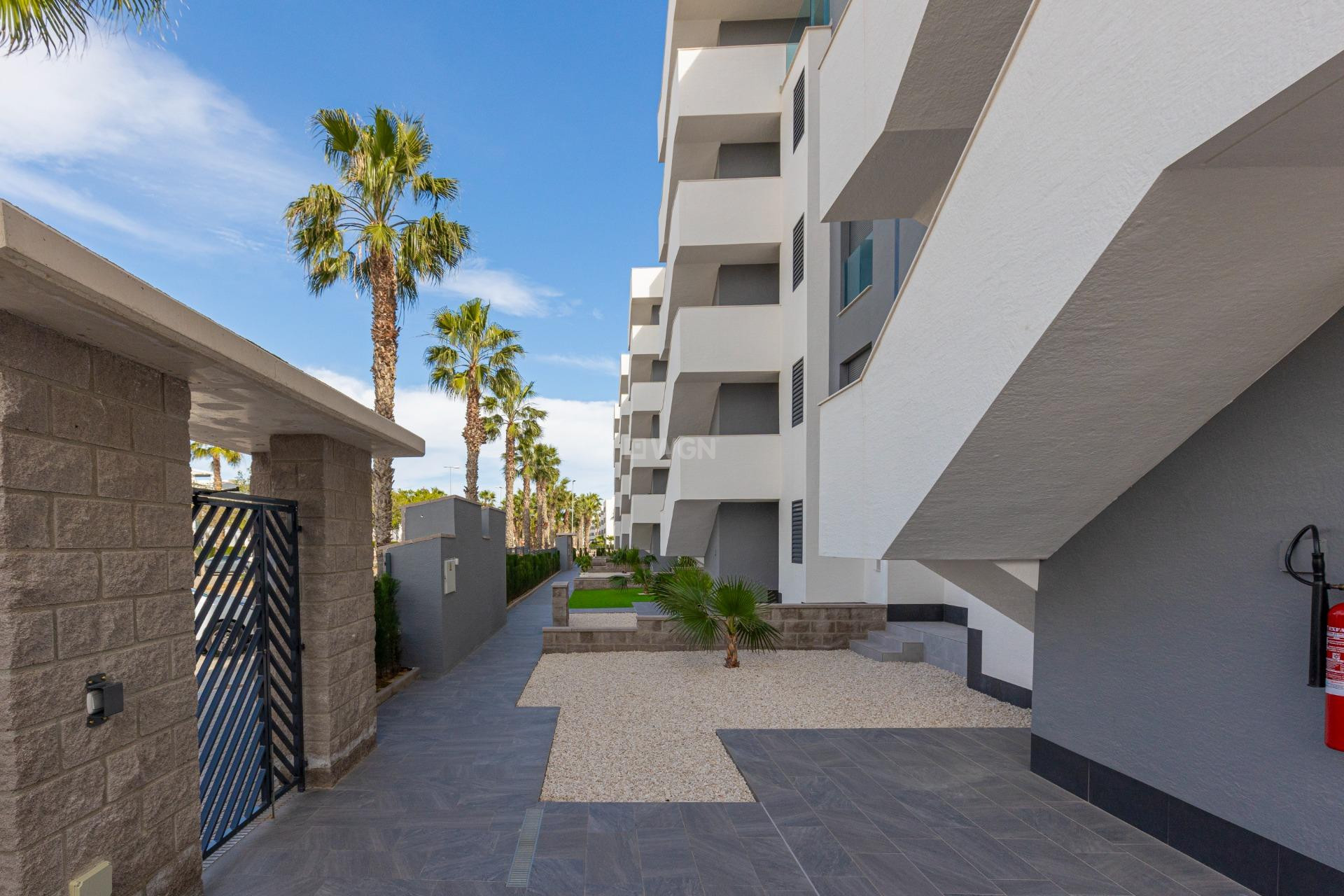 Wiederverkauf - Wohnung - Guardamar del Segura - El Raso