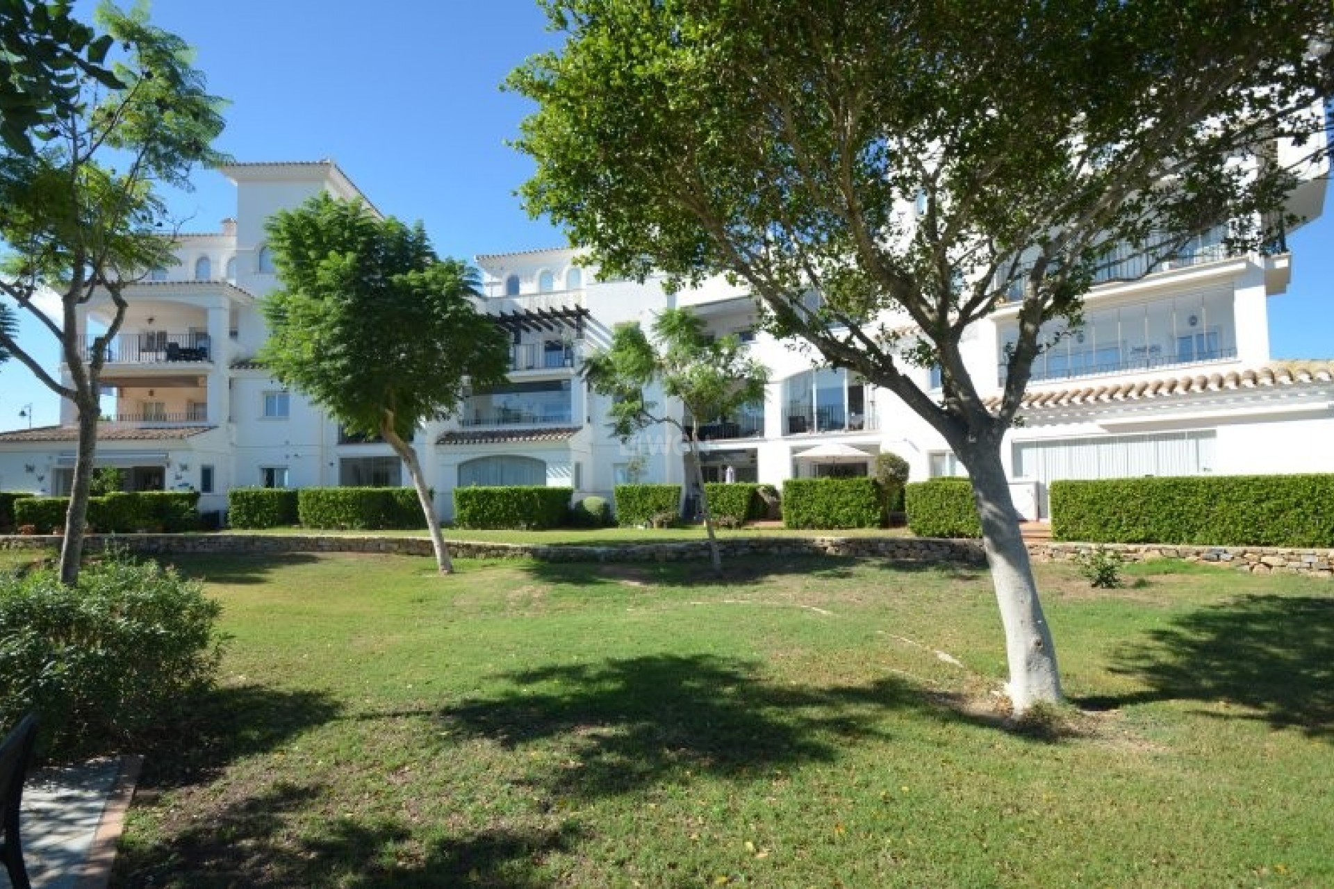 Wiederverkauf - Wohnung - Hacienda Riquelme Golf Resort - Inland