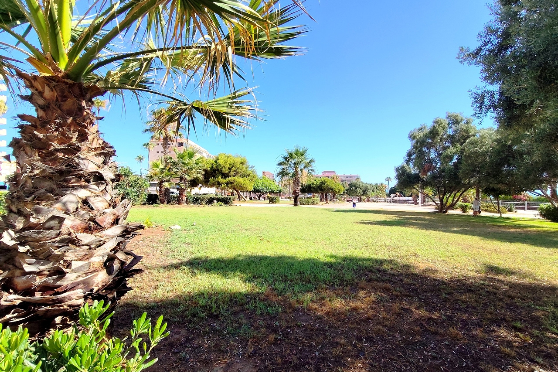 Wiederverkauf - Wohnung - La Mata - Costa Blanca