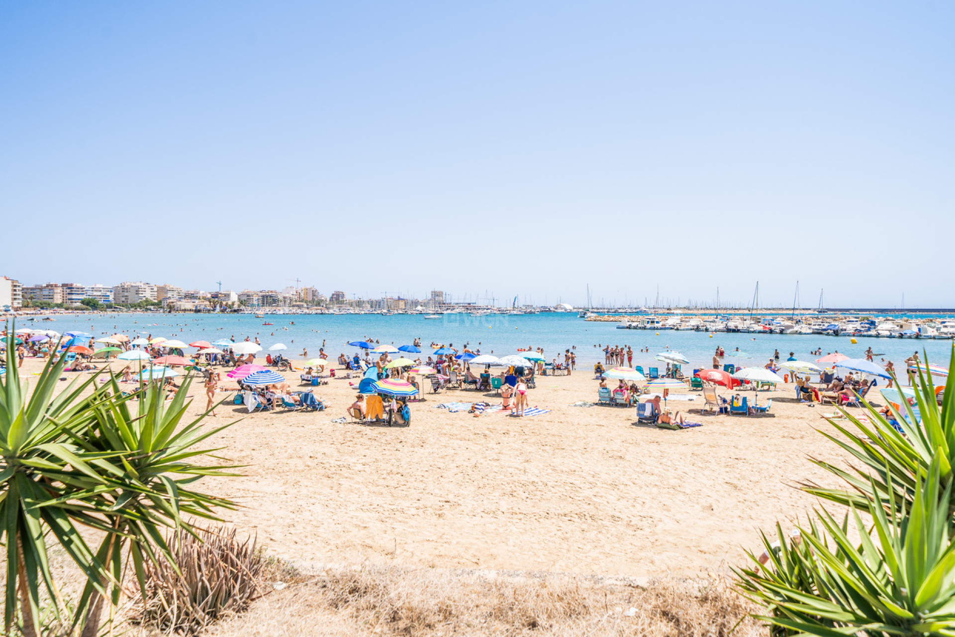 Wiederverkauf - Wohnung - La Veleta - Costa Blanca