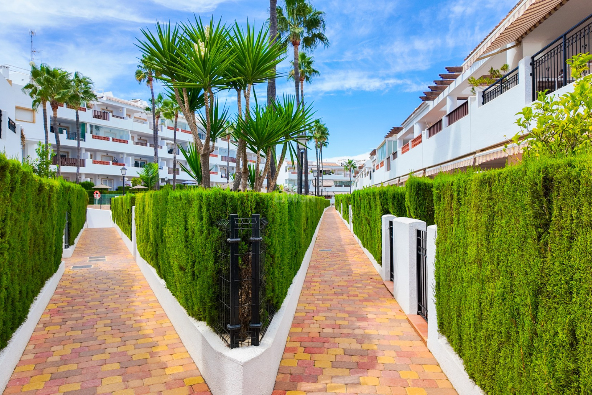 Wiederverkauf - Wohnung - Orihuela Costa - Costa Blanca