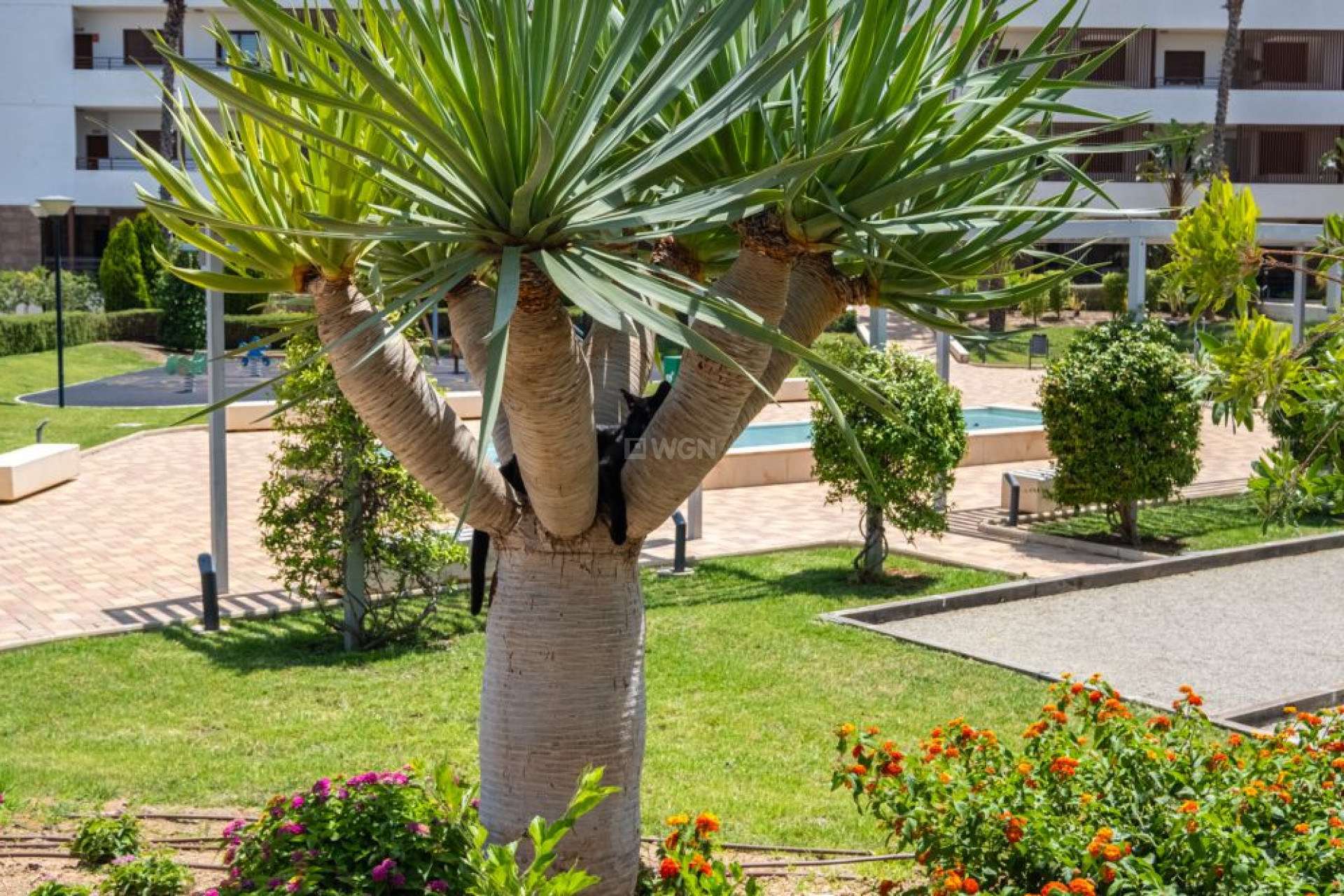 Wiederverkauf - Wohnung - Orihuela Costa - Costa Blanca