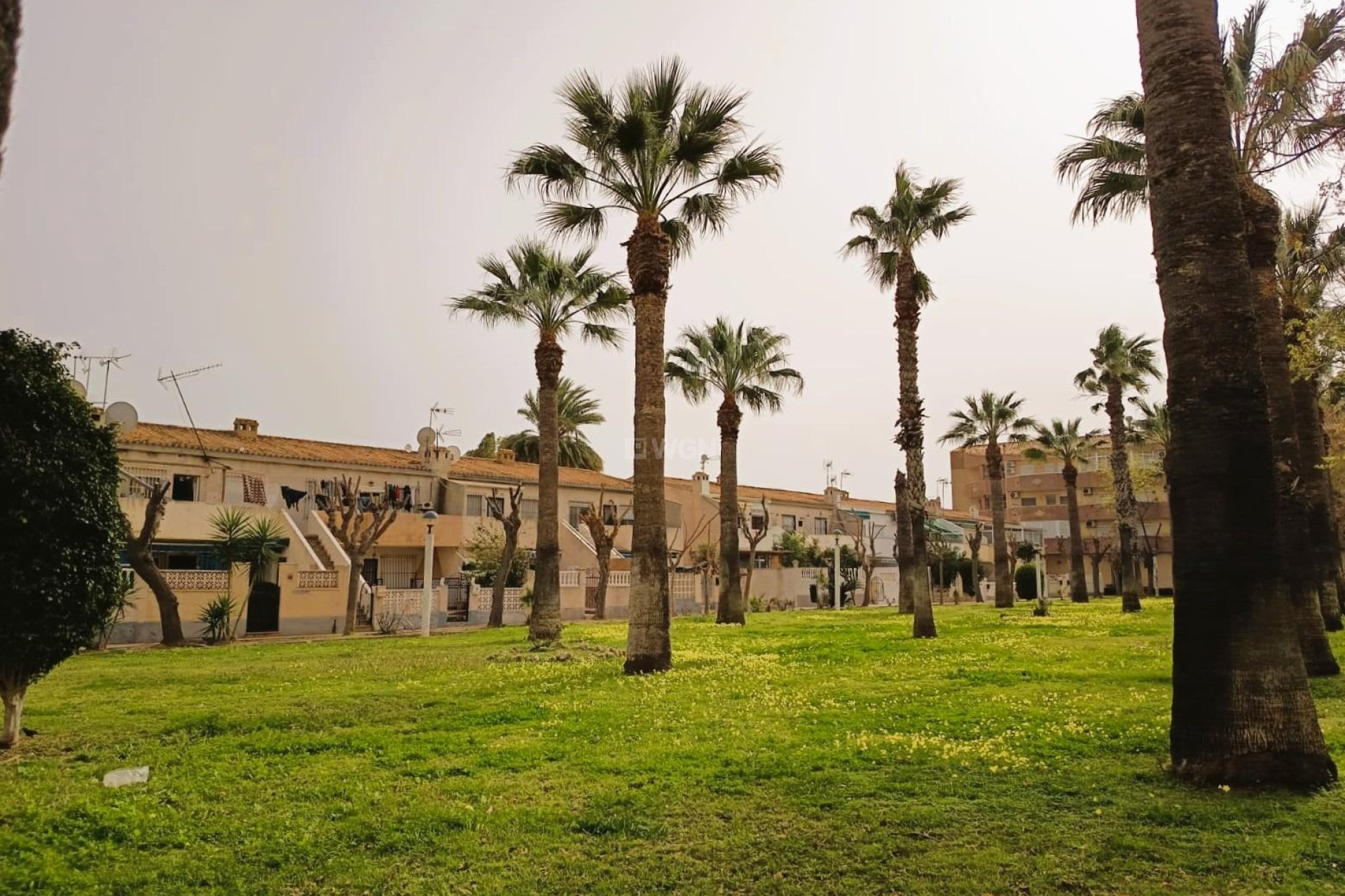 Wiederverkauf - Wohnung - Orihuela Costa - Costa Blanca