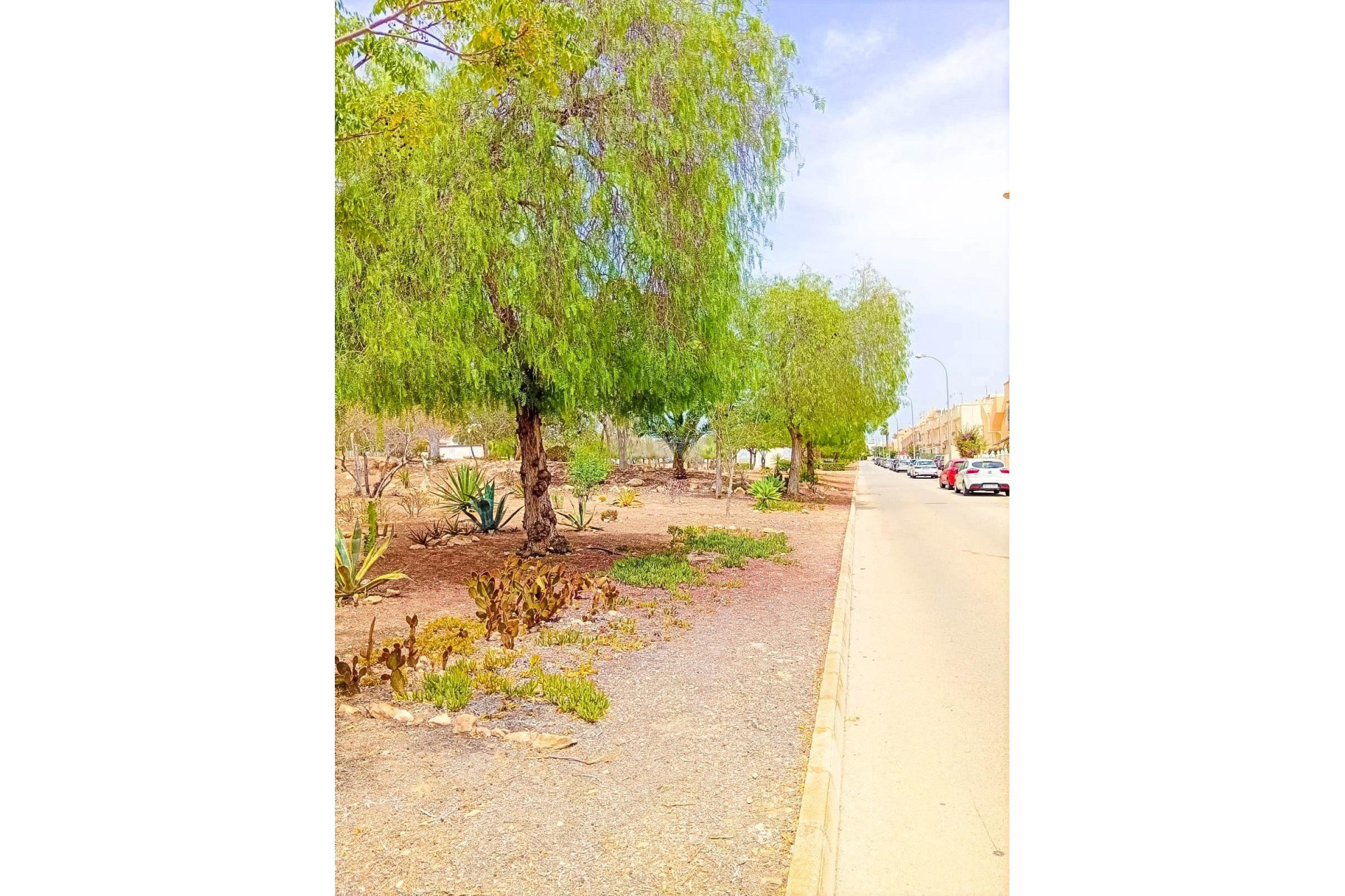 Wiederverkauf - Wohnung - Orihuela Costa - La Florida