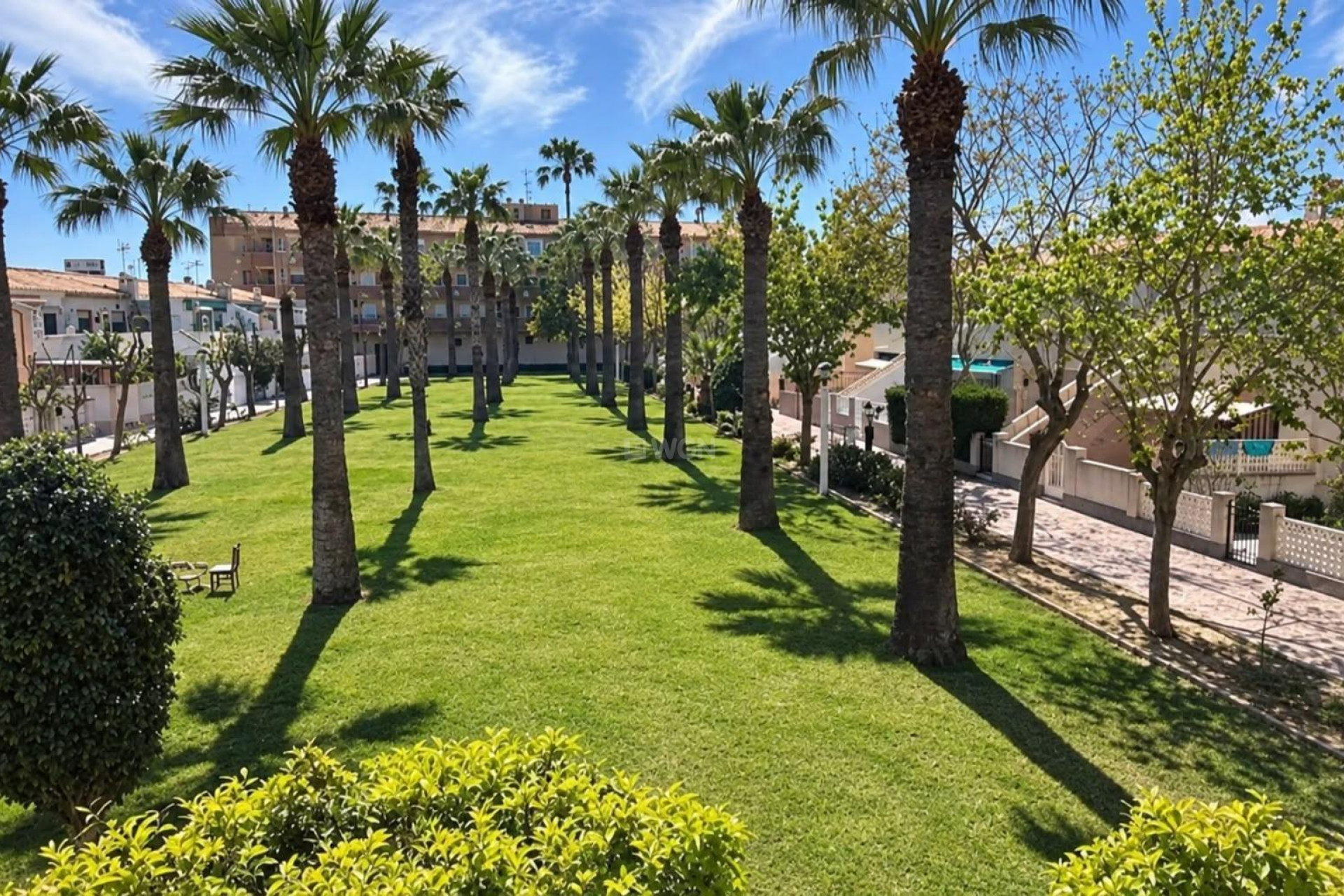Wiederverkauf - Wohnung - Orihuela Costa - La Regia