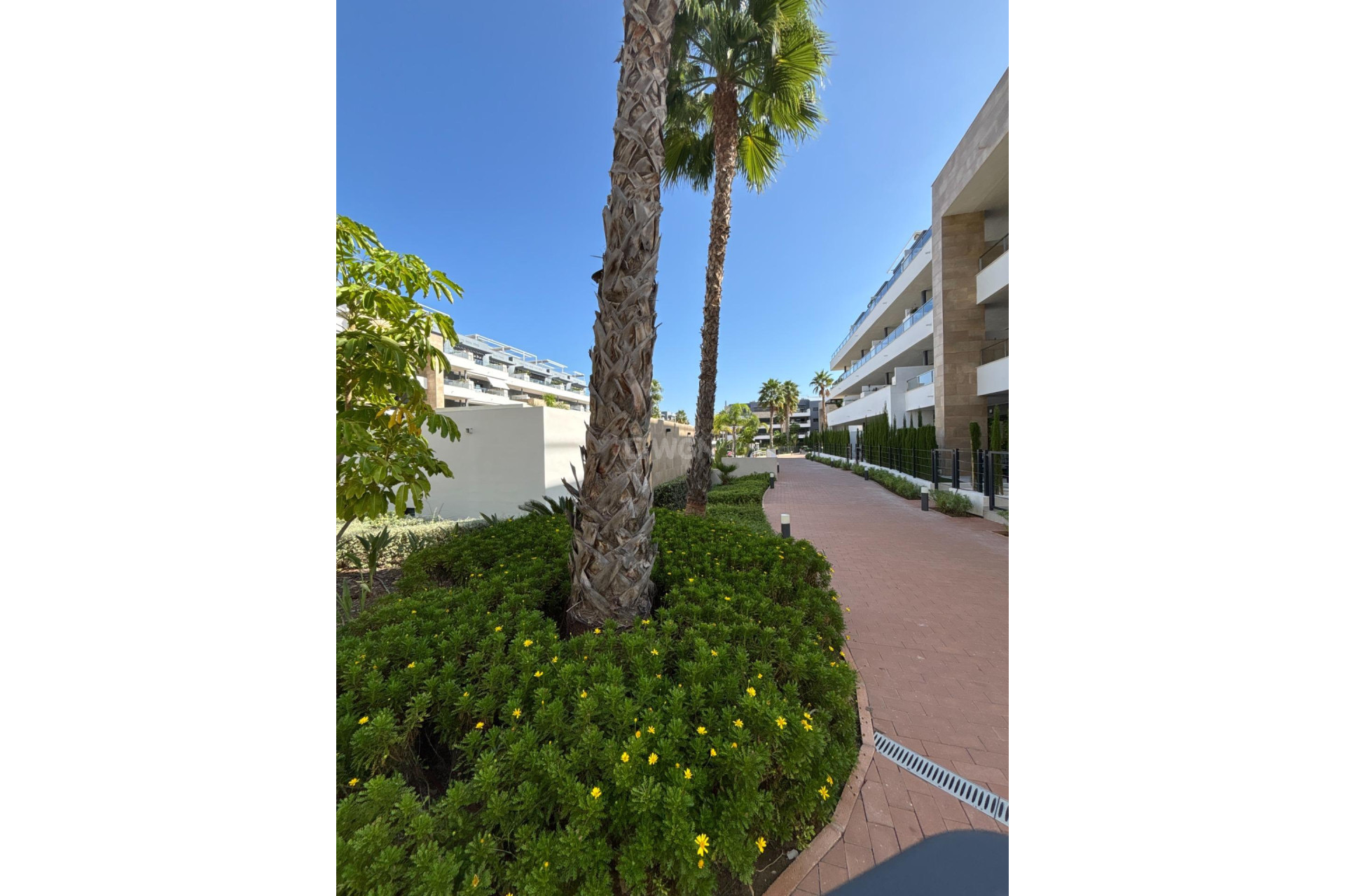 Wiederverkauf - Wohnung - Orihuela Costa - Playa Flamenca