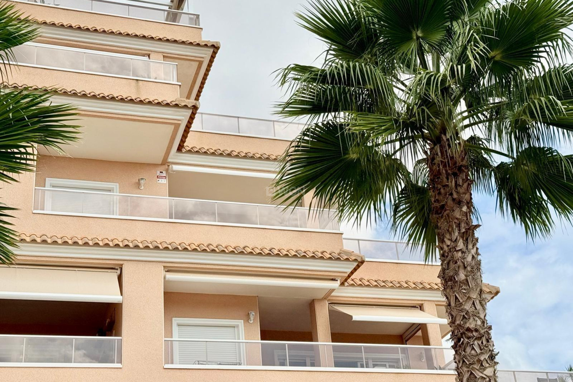 Wiederverkauf - Wohnung - Orihuela Costa - Villamartín-las Filipinas