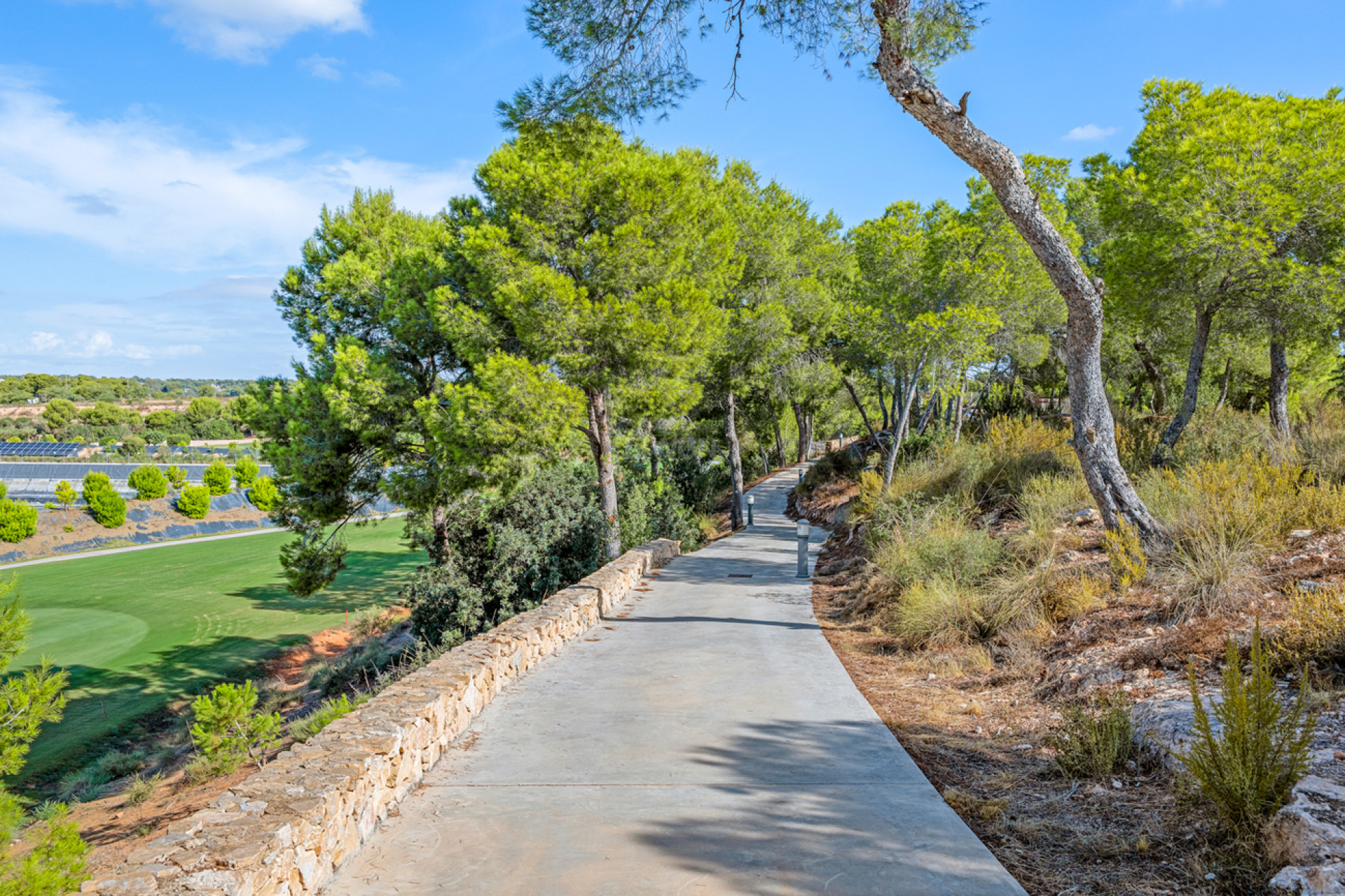 Wiederverkauf - Wohnung - Pilar de la Horadada - Lo Romero Golf