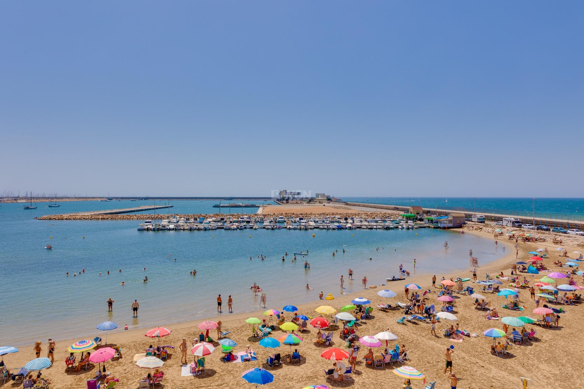 Wiederverkauf - Wohnung - Torrevieja - Acequion