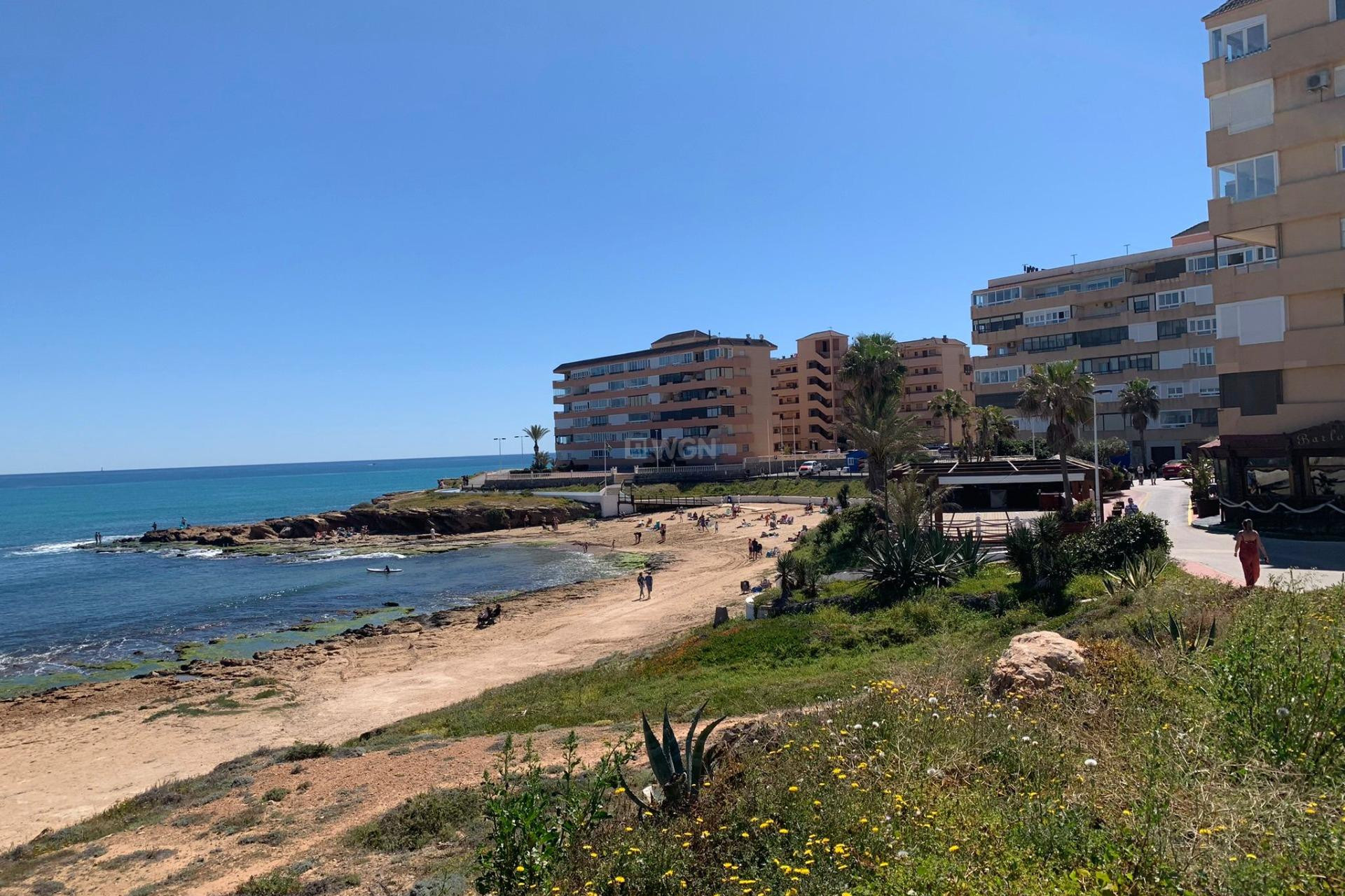 Wiederverkauf - Wohnung - Torrevieja - Cabo Cervera
