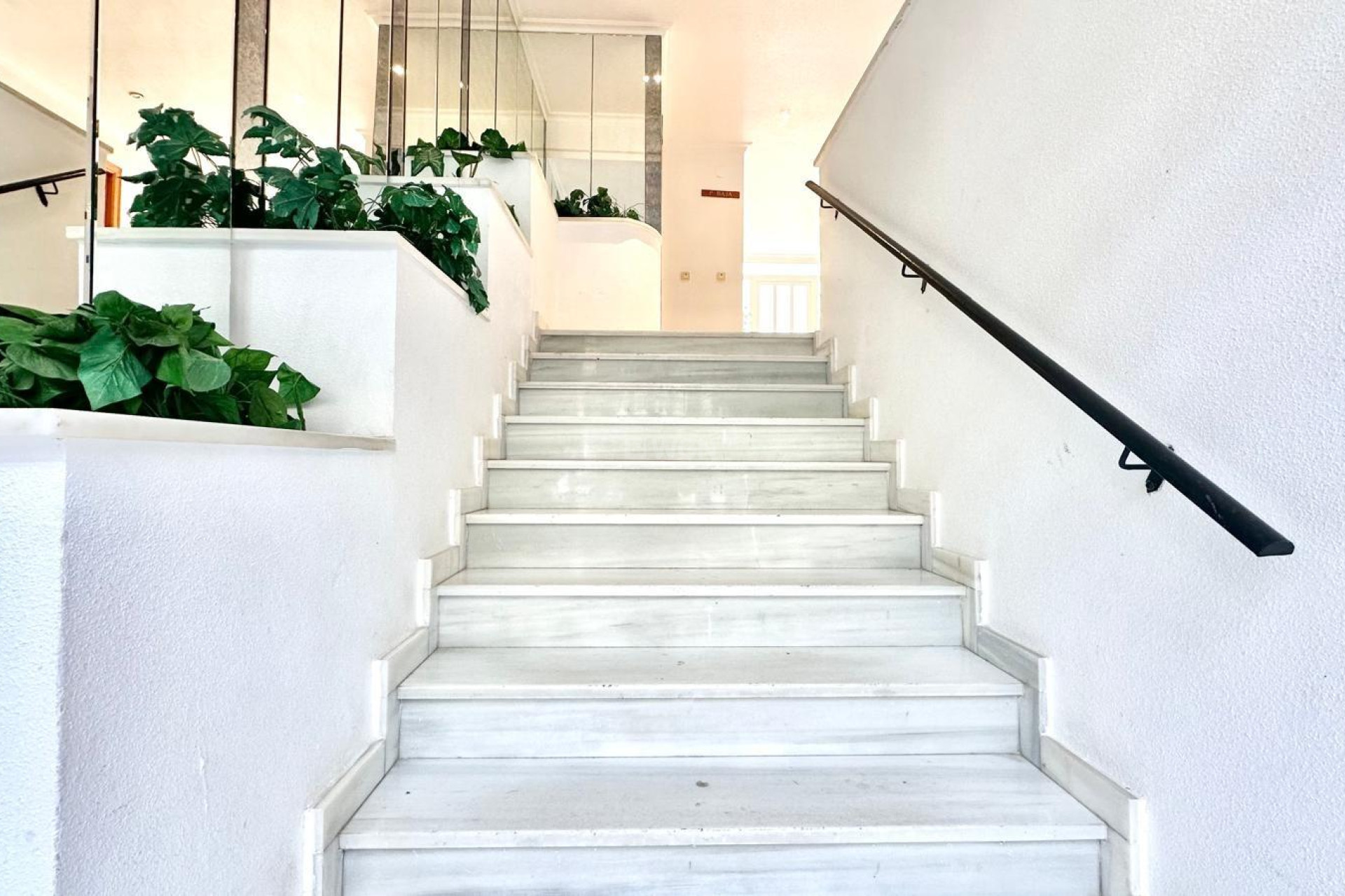 Wiederverkauf - Wohnung - Torrevieja - Centro