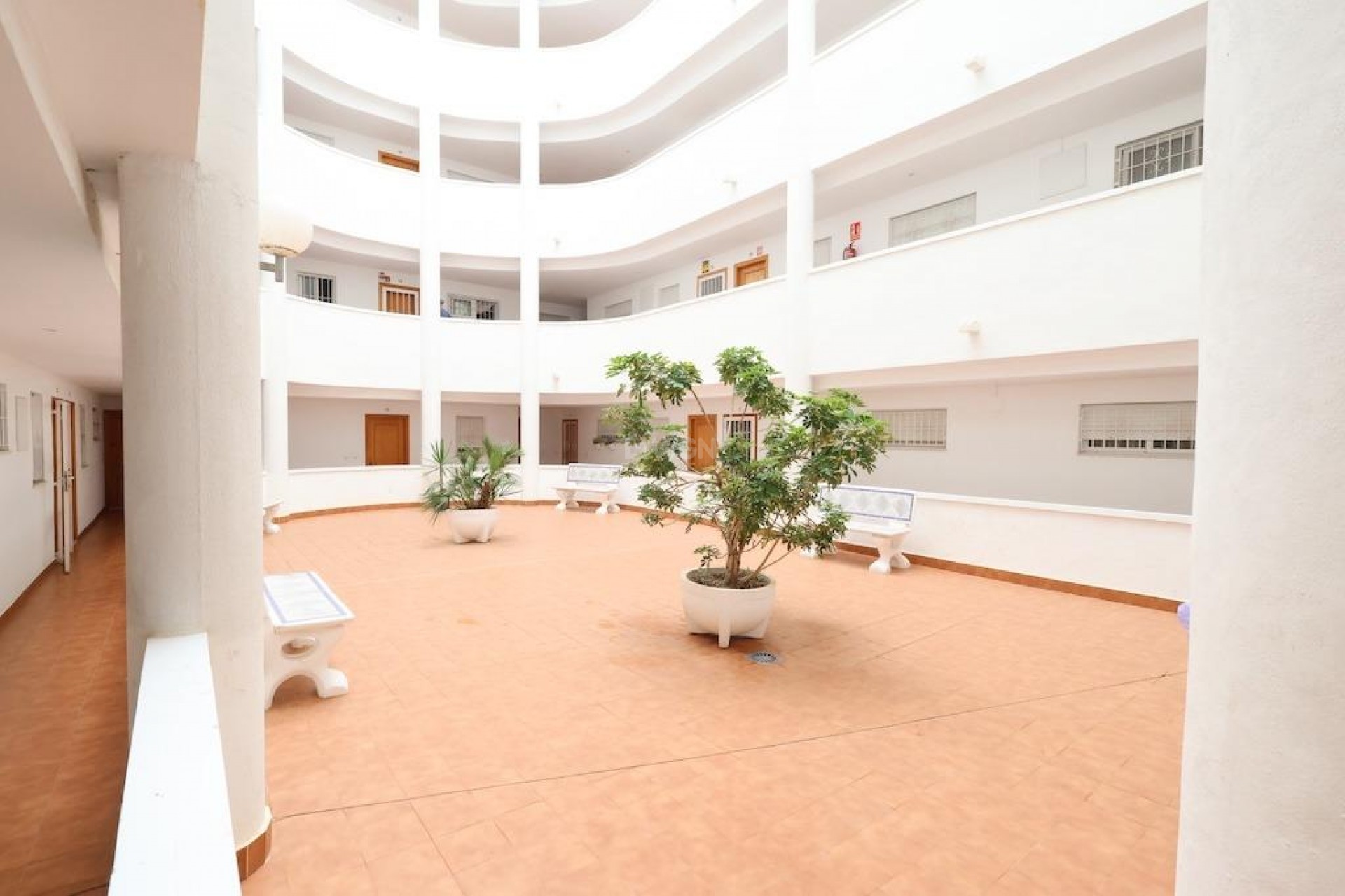 Wiederverkauf - Wohnung - Torrevieja - Costa Blanca
