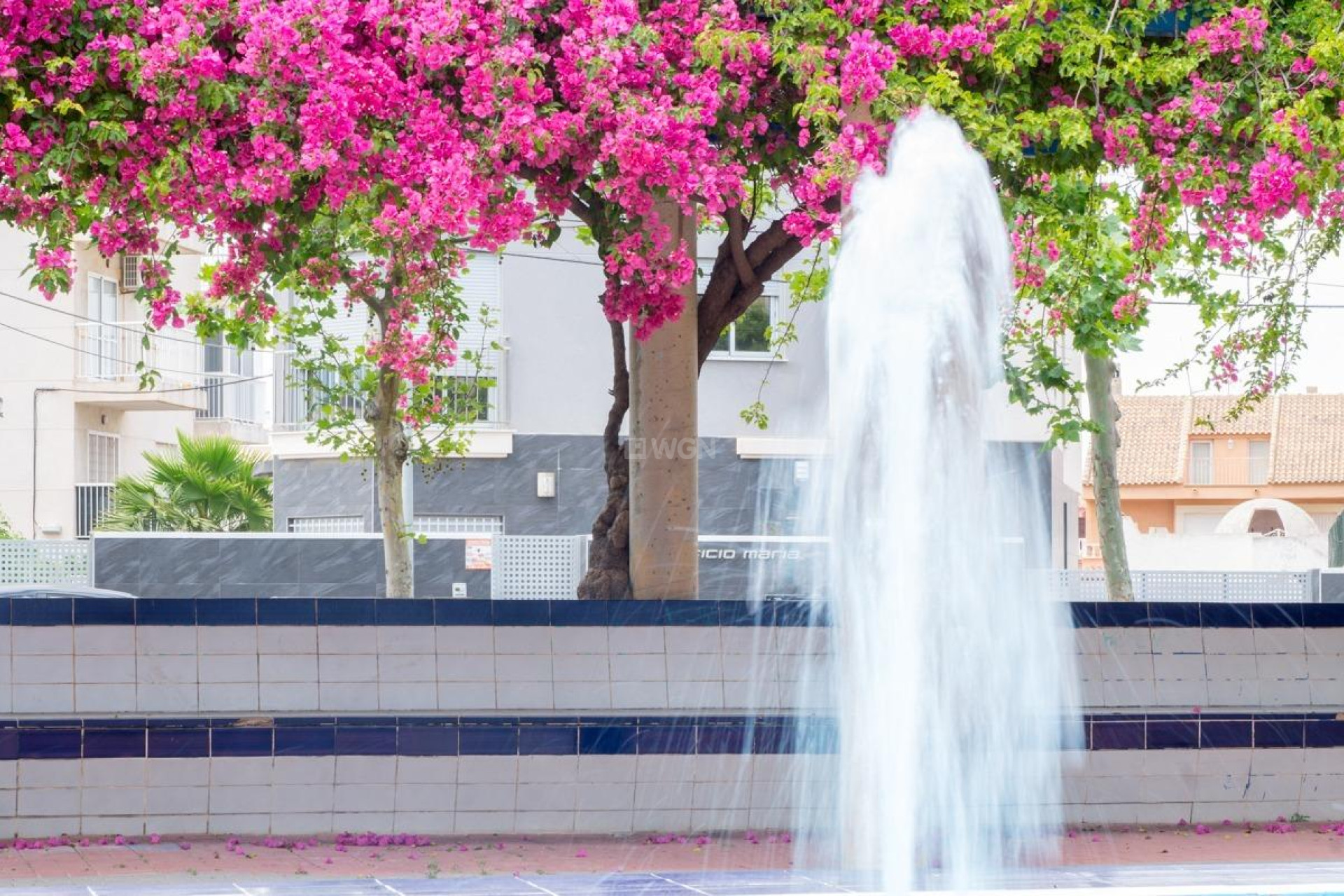 Wiederverkauf - Wohnung - Torrevieja - Estacion De Autobuses