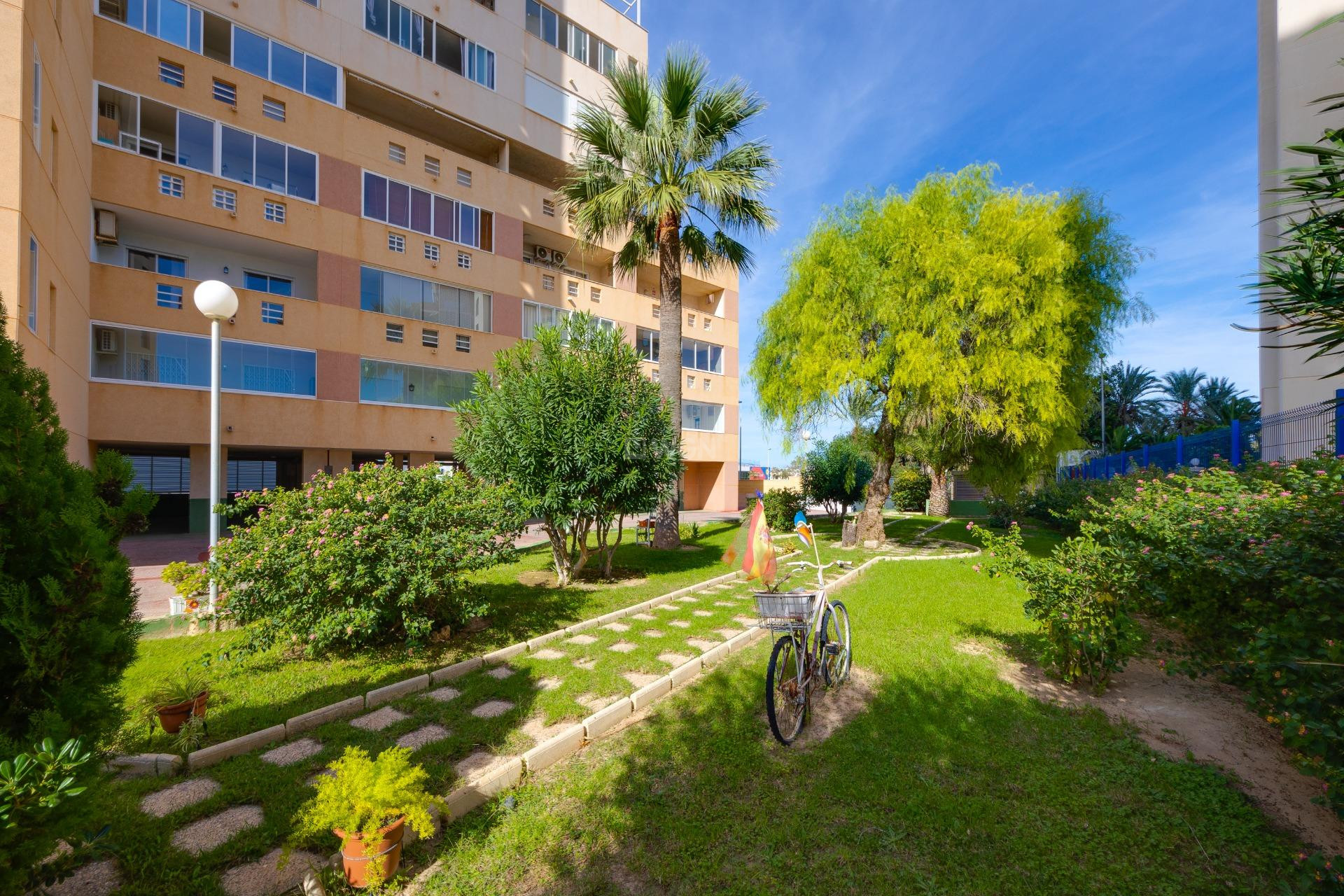 Wiederverkauf - Wohnung - Torrevieja - La Veleta