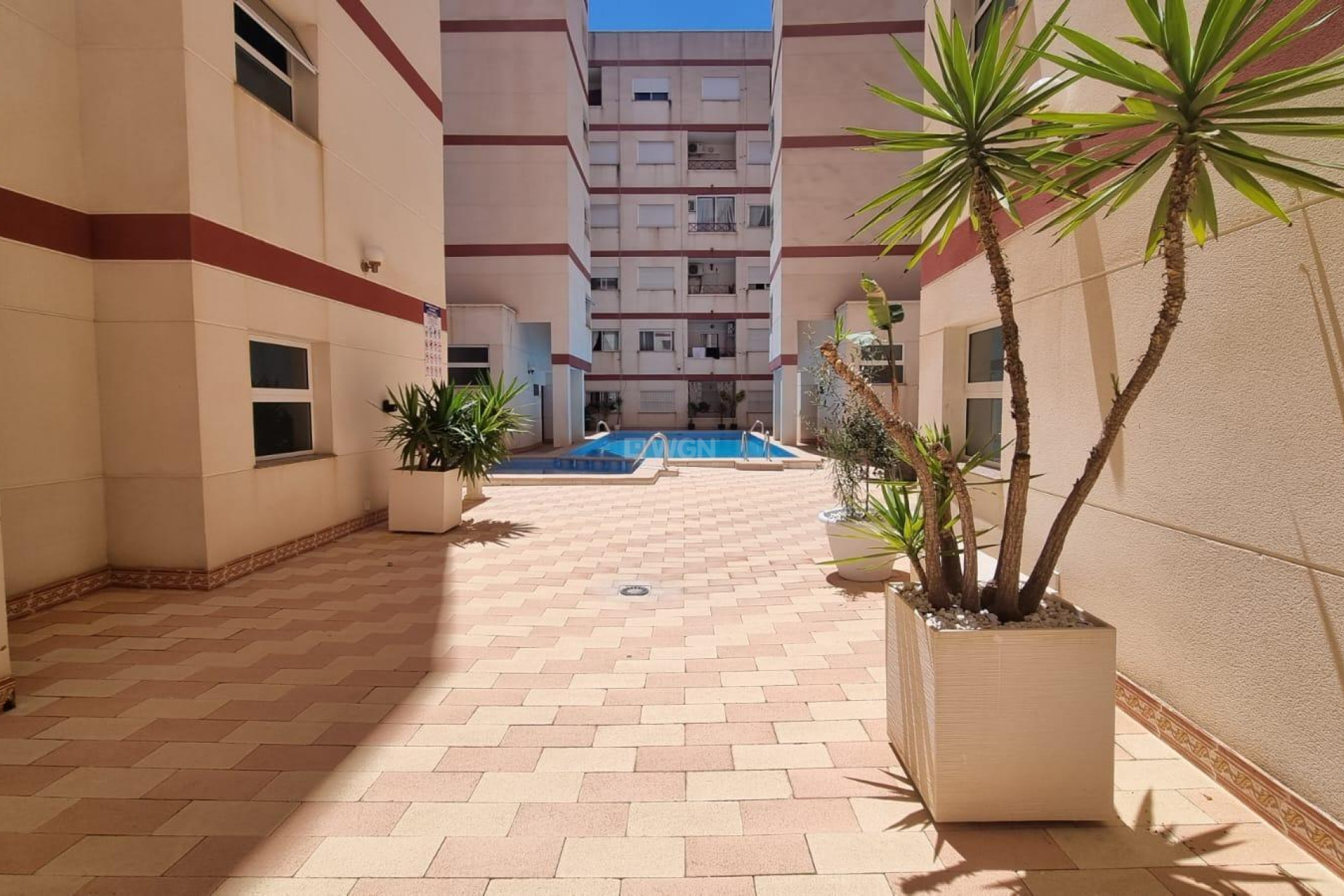 Wiederverkauf - Wohnung - Torrevieja - PARQUE DE LAS NACIONES