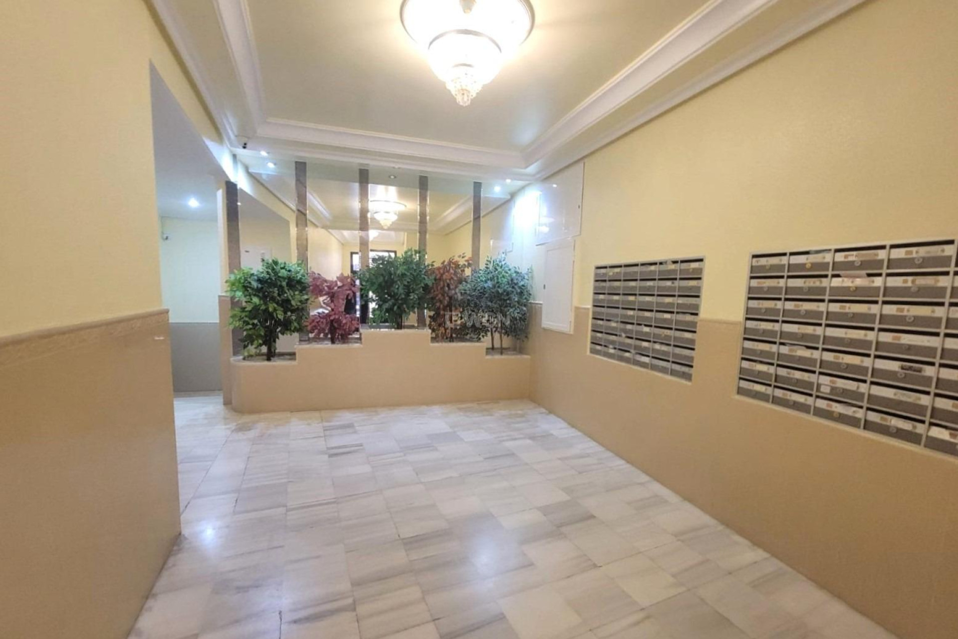 Wiederverkauf - Wohnung - Torrevieja - Playa del Cura