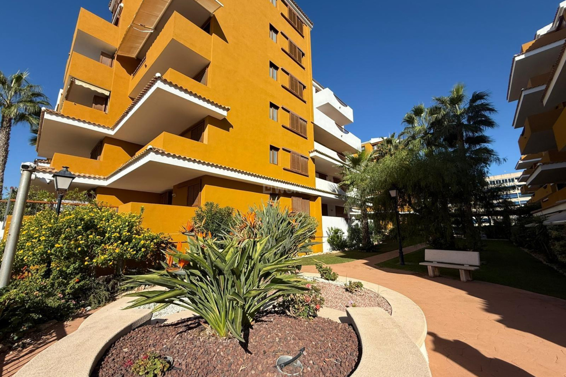 Wiederverkauf - Wohnung - Torrevieja - Punta Prima