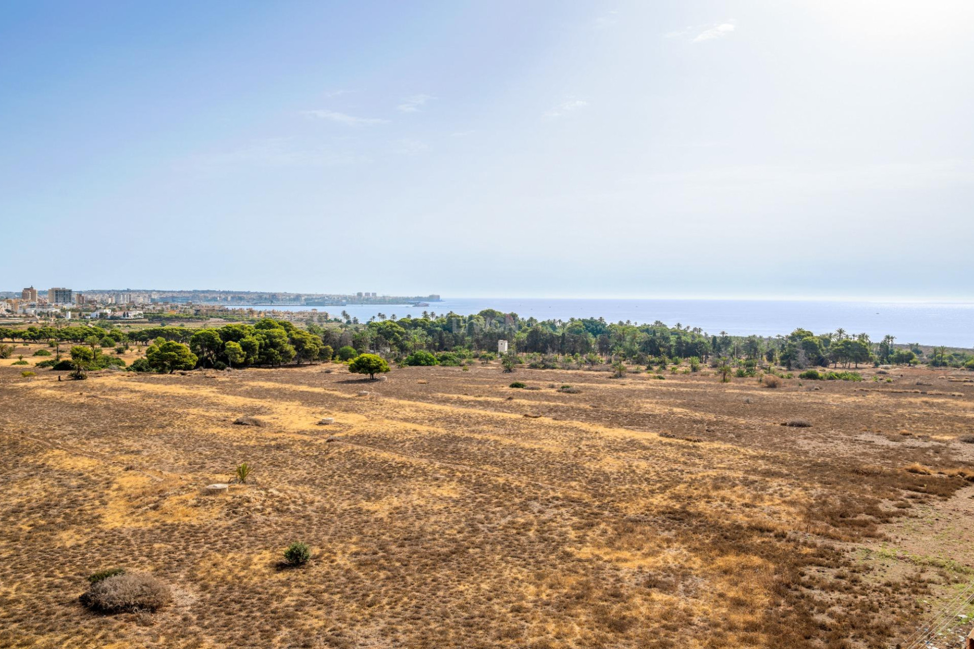 Wiederverkauf - Wohnung - Torrevieja - Punta Prima