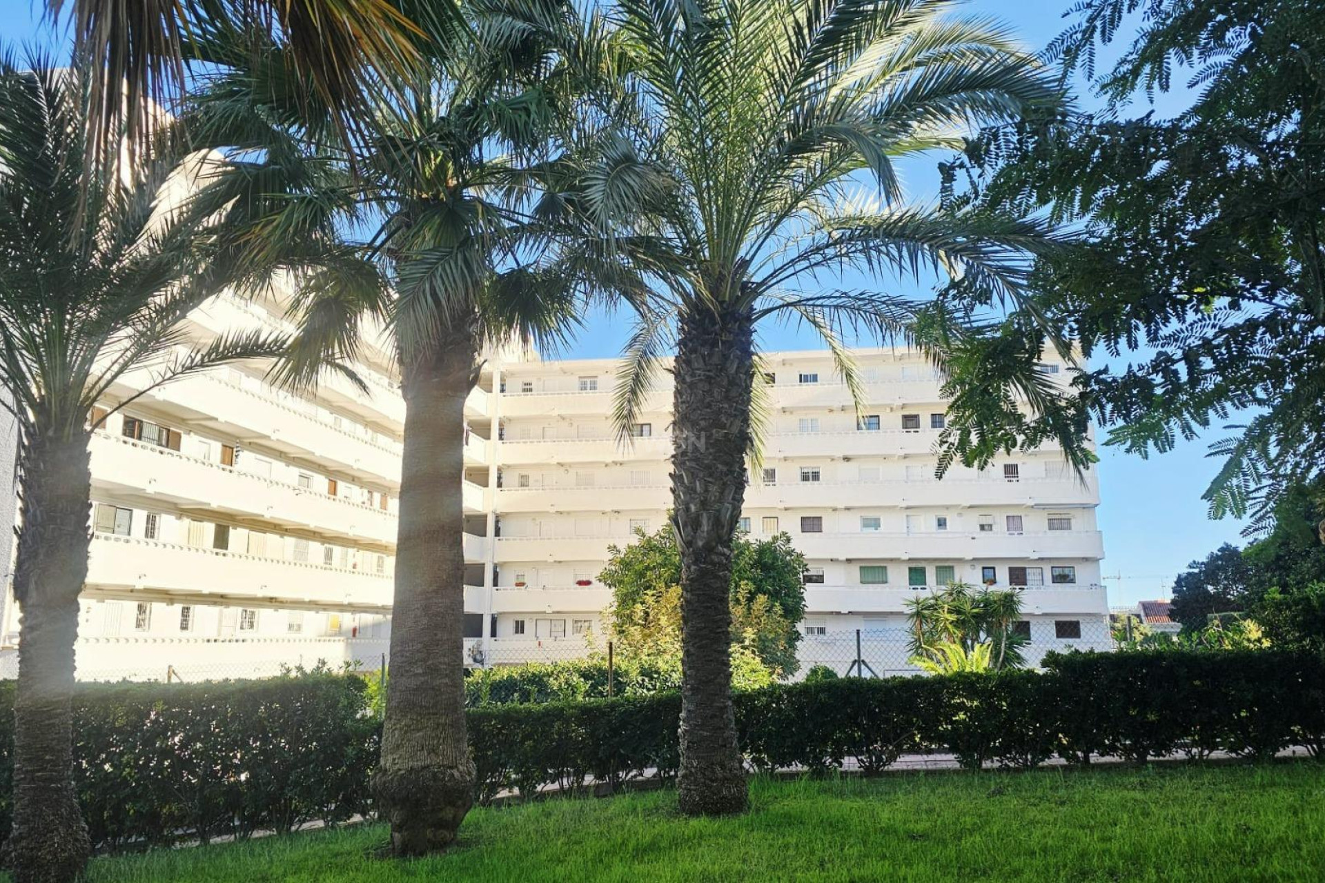 Wiederverkauf - Wohnung - Torrevieja - Torreblanca