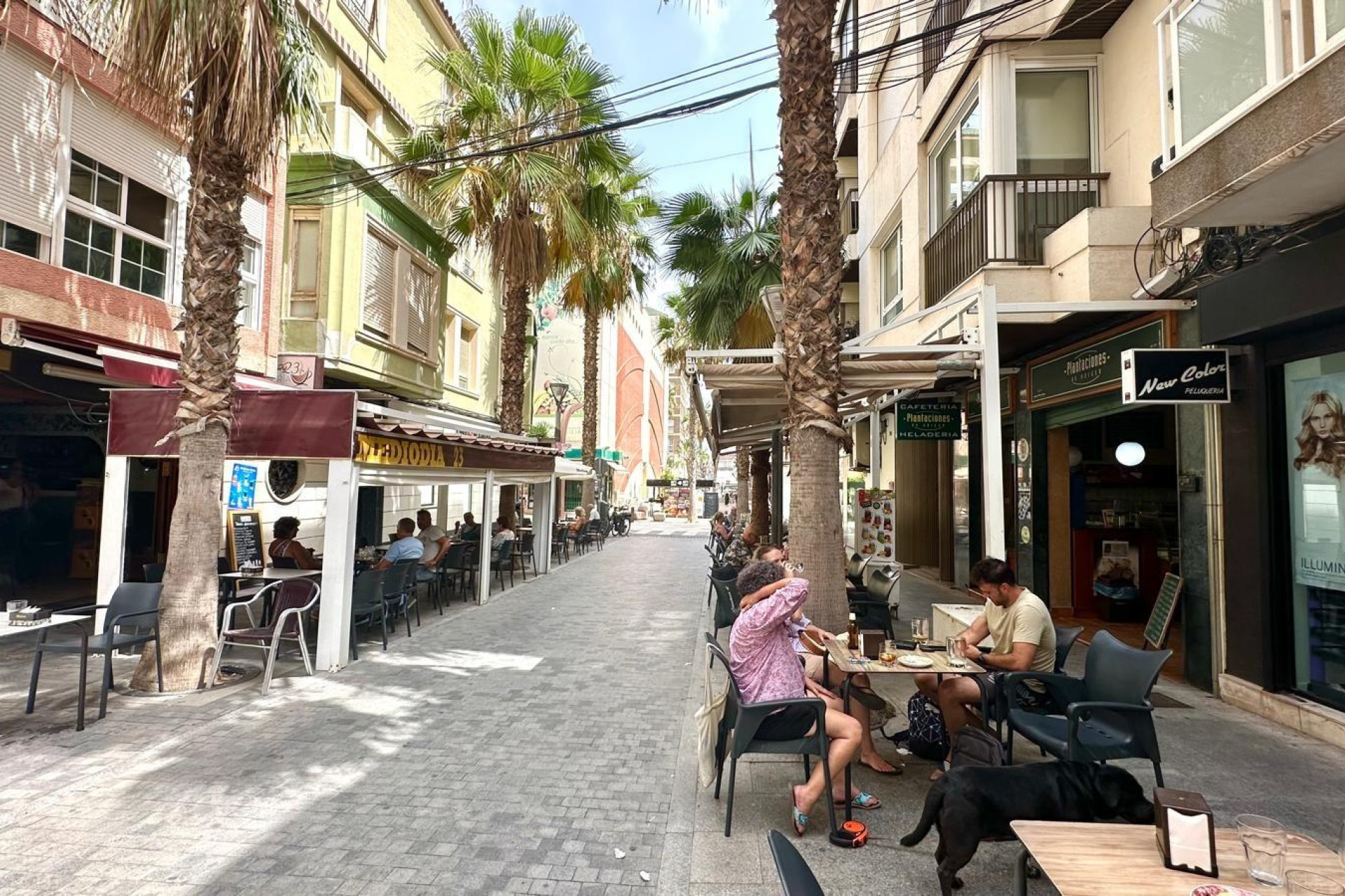 Wiederverkauf - Wohnung - Torrevieja