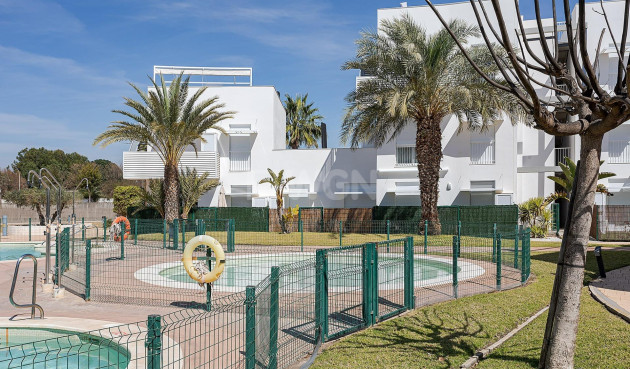 Wohnung - Neue Gebäude - Vera - NB-32832
