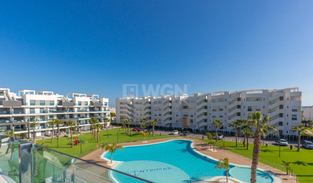 Wohnung - Wiederverkauf - Guardamar del Segura - El Raso