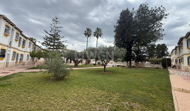 Wohnung - Wiederverkauf - San Miguel de Salinas - Campo de golf villamartin