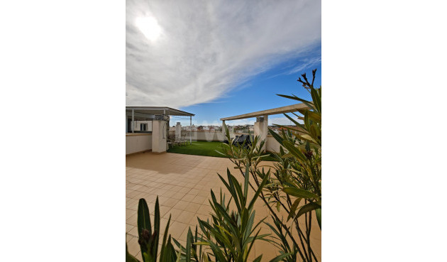 Wohnung - Wiederverkauf - San Miguel de Salinas - San Miguel de Salinas