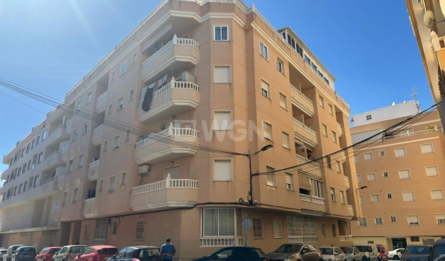 Wohnung - Wiederverkauf - Torrevieja - 38433