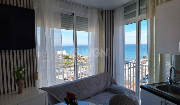 Wohnung - Wiederverkauf - Torrevieja - 48101