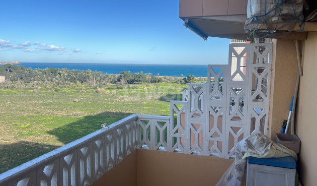 Wohnung - Wiederverkauf - Torrevieja - 89557