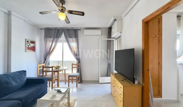 Wohnung - Wiederverkauf - Torrevieja - Acequion
