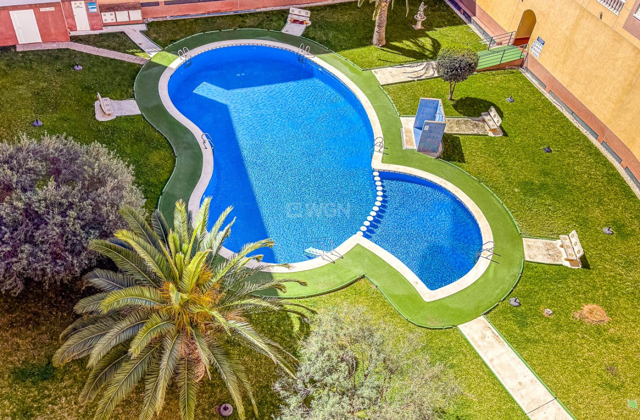 Reventa - Apartamento / piso - Torrevieja - Costa Blanca