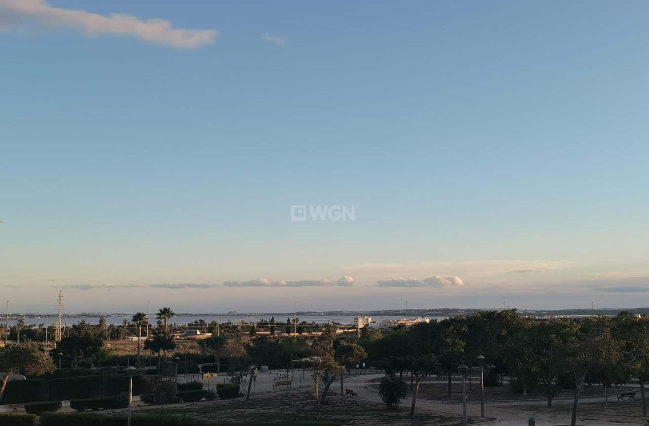 Nowy budynek - Villa - Los Montesinos - La Herrada