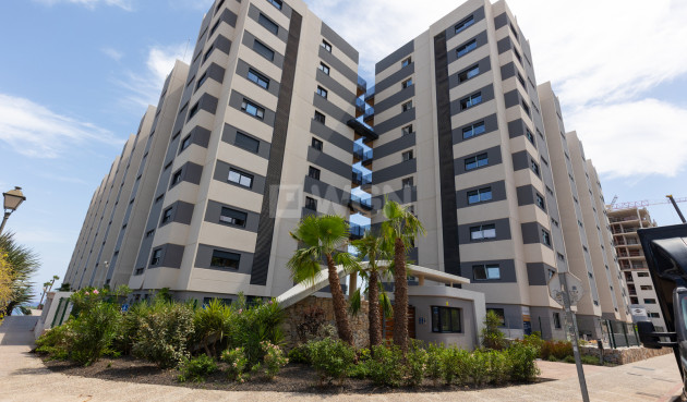 Odsprzedaż - Mieszkanie w bloku - Torrevieja - Costa Blanca