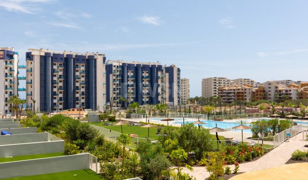 Odsprzedaż - Mieszkanie w bloku - Torrevieja - Costa Blanca