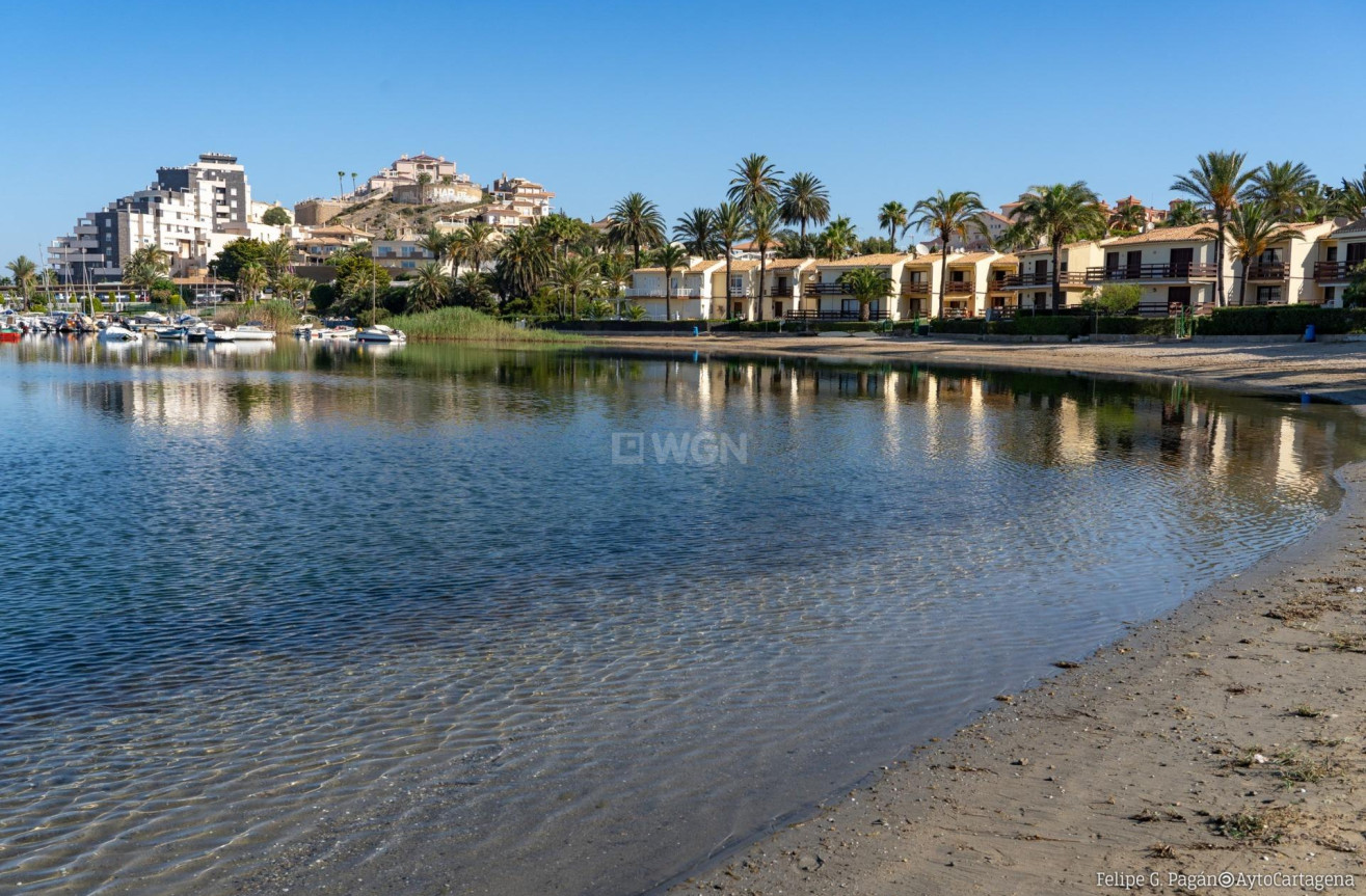 Neue Gebäude - Bungalow - La Manga Club