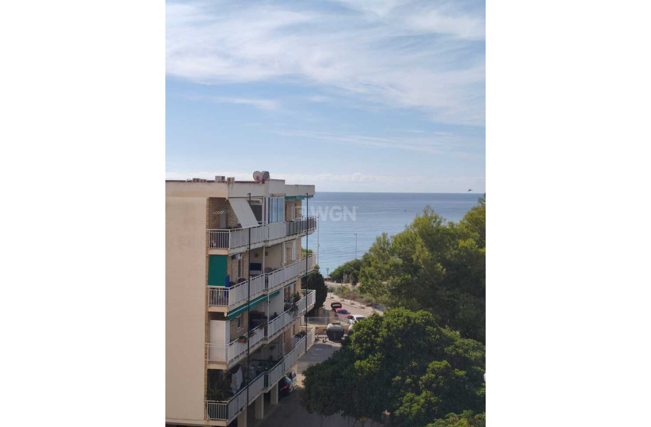 Odsprzedaż - Daszek - Punta Prima - Costa Blanca