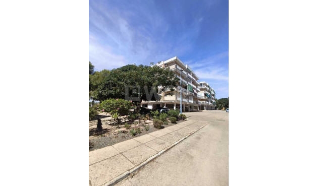 Odsprzedaż - Daszek - Punta Prima - Costa Blanca