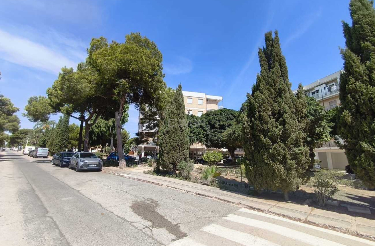 Odsprzedaż - Daszek - Punta Prima - Costa Blanca