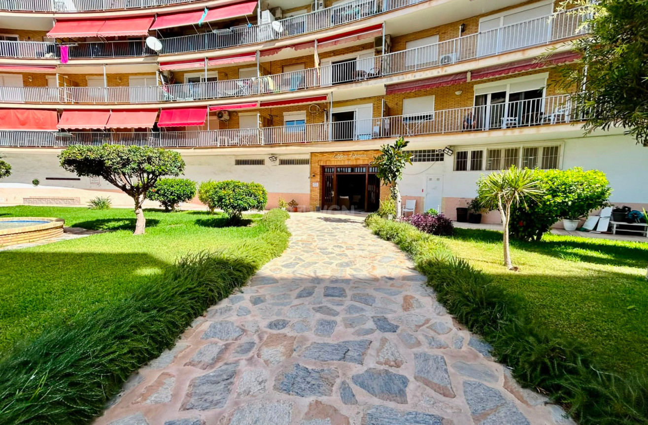Resale - Apartment / flat - Torrevieja - Costa Blanca