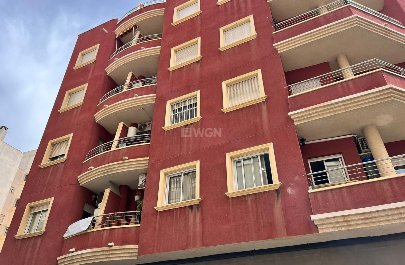 Odsprzedaż - Mieszkanie w bloku - Torrevieja - Centro