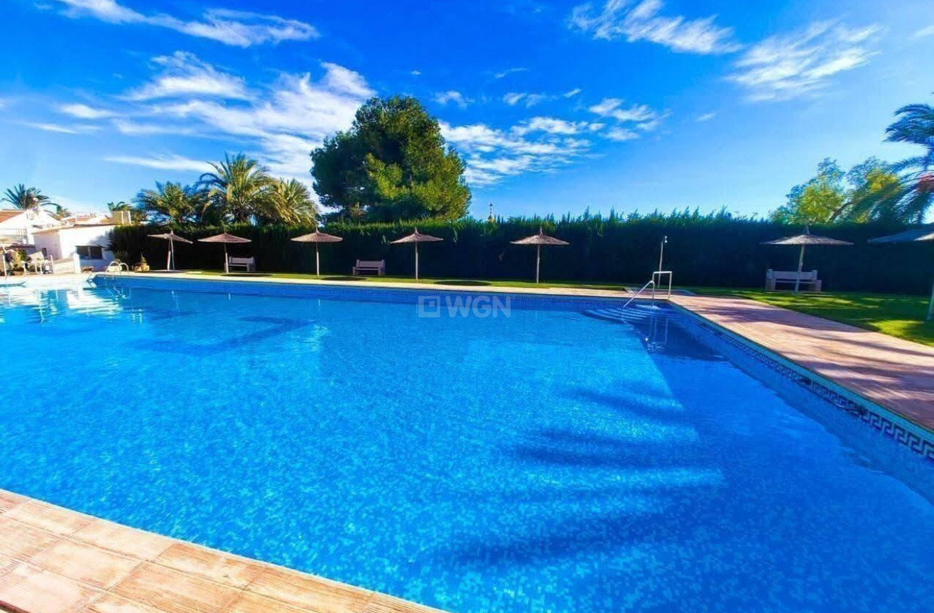 Reventa - Ático - Torrevieja - Calas Blanca