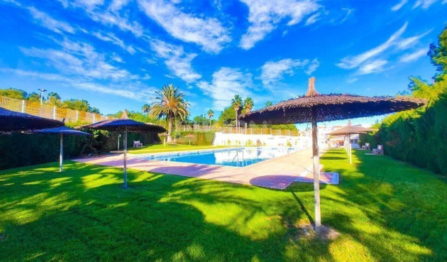 Reventa - Ático - Torrevieja - Calas Blanca