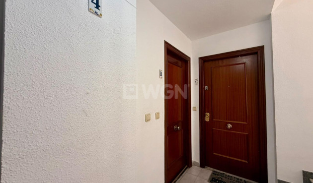 Resale - Apartment / flat - Torrevieja - Playa del Cura