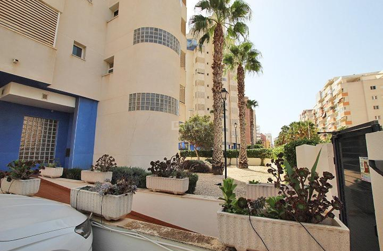 Wiederverkauf - Wohnung - Guardamar del Segura - Avenida del Puerto