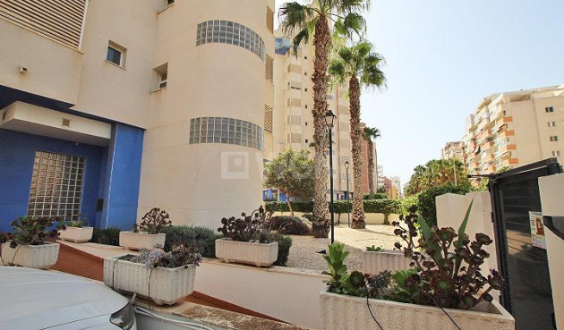 Wiederverkauf - Wohnung - Guardamar del Segura - Avenida del Puerto